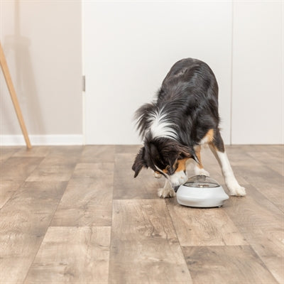 Trixie Snack Popper Grijs