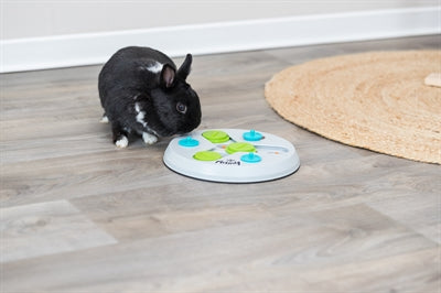 Trixie Slide&Funboard Kunststof 23X23 Cm