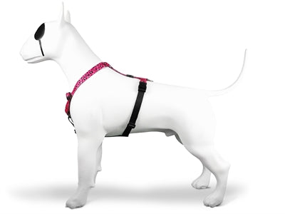 Morso Hondentuig H-Tuig Gerecycled Bubble Leo Roze 40-55X1,5 Cm